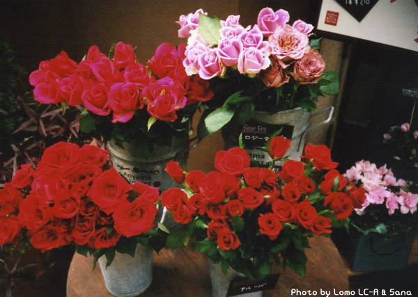 e0001086_20391822.jpg