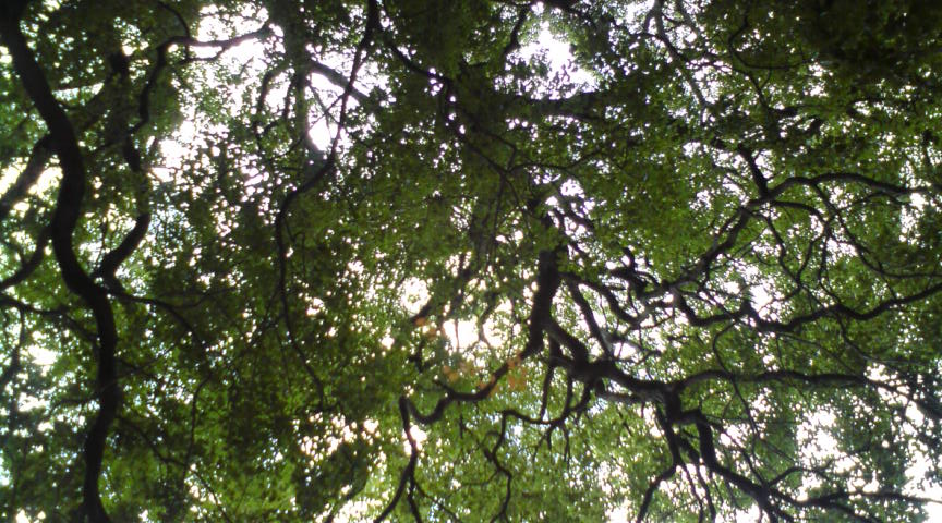 c0122788_5325545.jpg