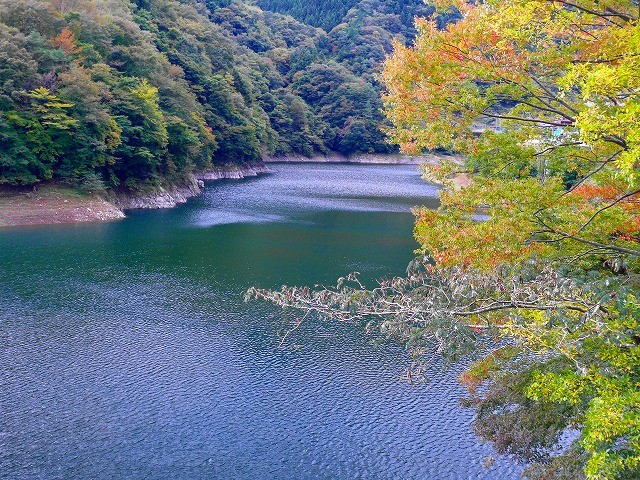 e0202393_229151.jpg