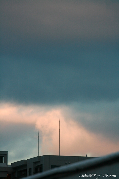 f0001895_16421973.jpg