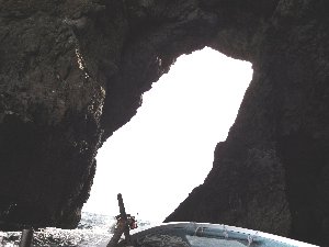 e0122199_22403570.jpg
