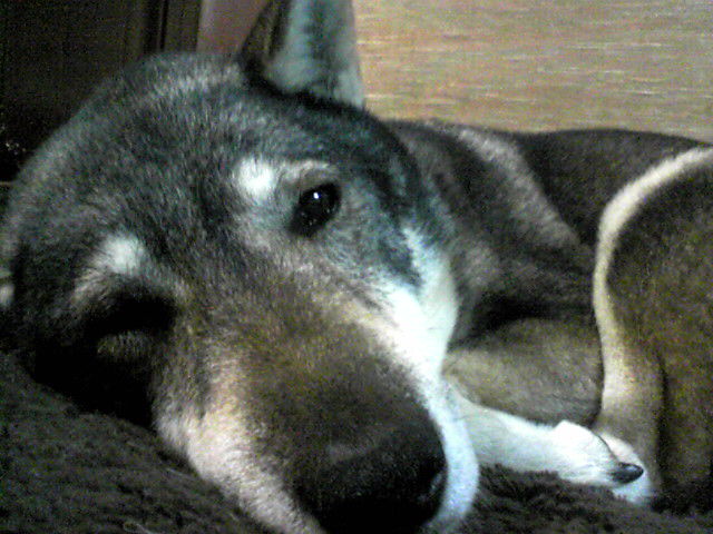 f0079202_22232343.jpg