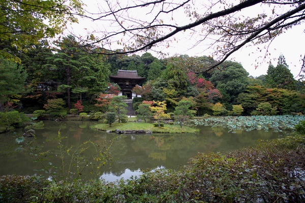c0043403_2375768.jpg