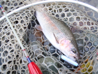 c0023804_1943341.jpg