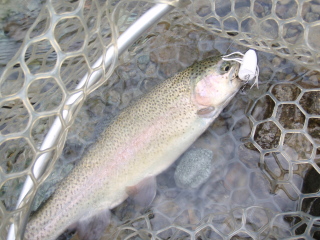 c0023804_19441675.jpg