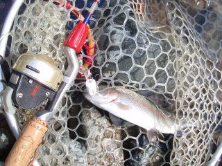 c0023804_19443153.jpg