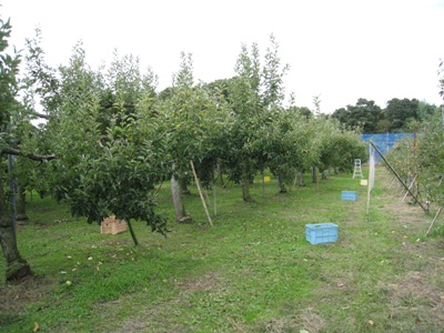 d0116205_18374955.jpg