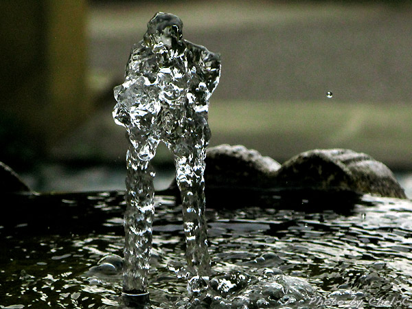 a0154706_2245318.jpg