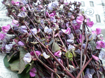 f0144707_20325595.jpg