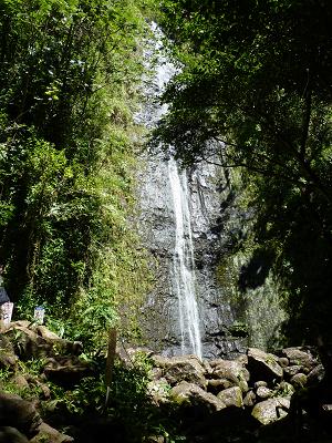 a0136808_1193032.jpg