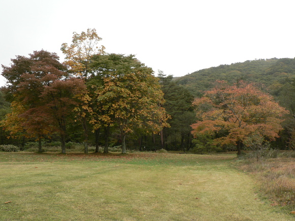 f0219710_7365328.jpg