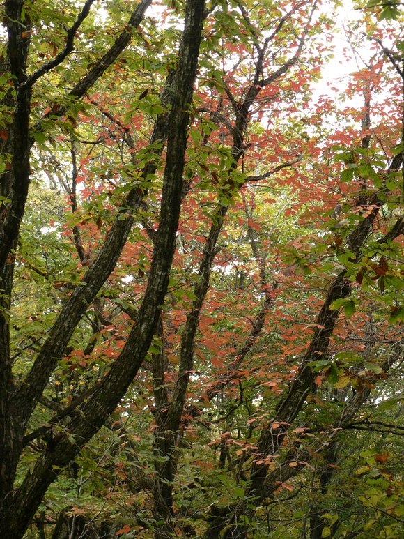 f0219710_7451677.jpg