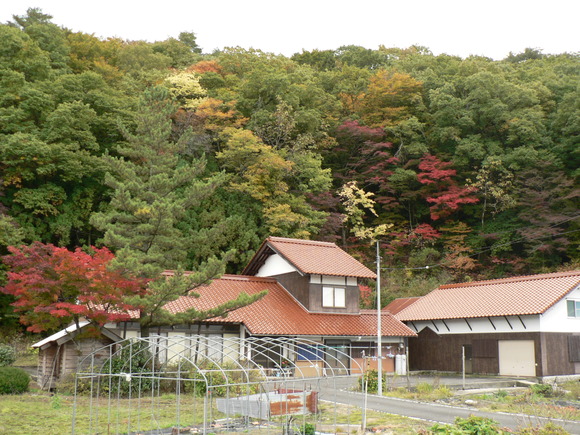 f0219710_7551163.jpg