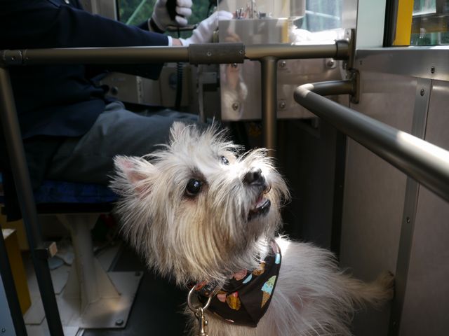 c0039114_2237584.jpg