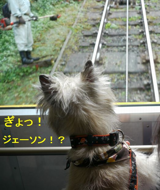 c0039114_22424166.jpg