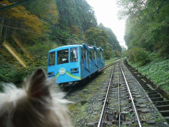 c0039114_22523562.jpg