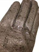 d0127223_16274587.jpg