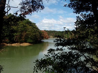 b0008825_1232732.jpg