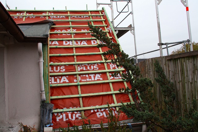 c0153740_218332.jpg