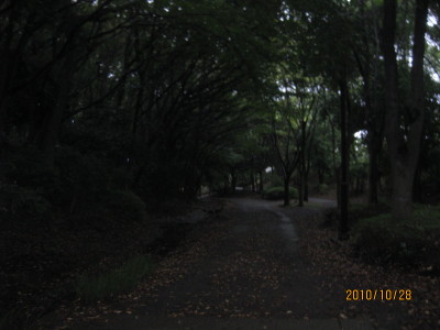 e0121548_20593365.jpg