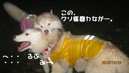 e0121548_2125822.jpg