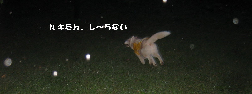 e0121548_21282873.jpg