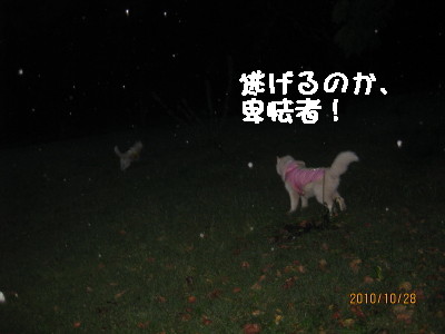 e0121548_2130189.jpg