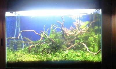 f0198950_21551738.jpg