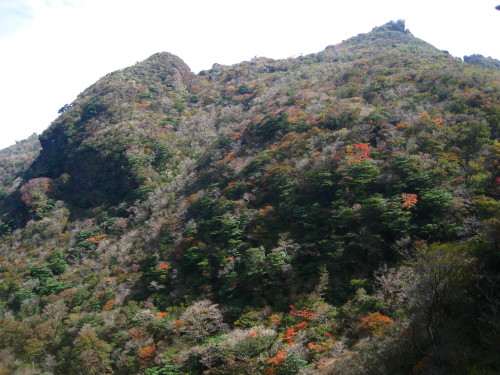 c0179351_2111527.jpg