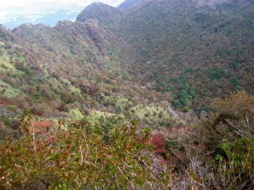 c0179351_2142650.jpg