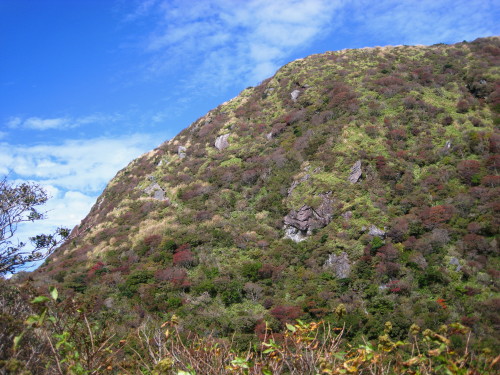 c0179351_2151397.jpg