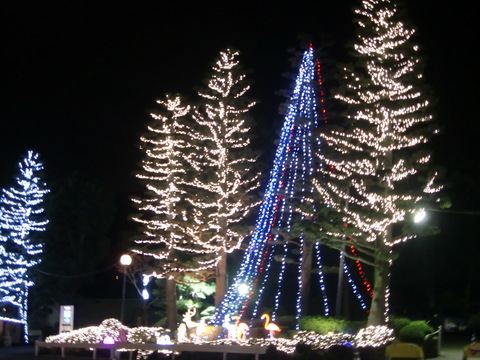c0206352_181922.jpg