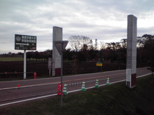 f0057955_20545963.jpg