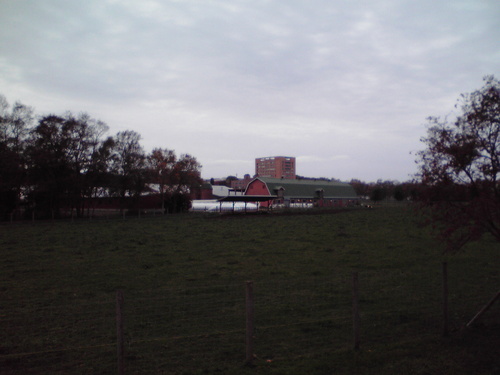 f0057955_2055214.jpg