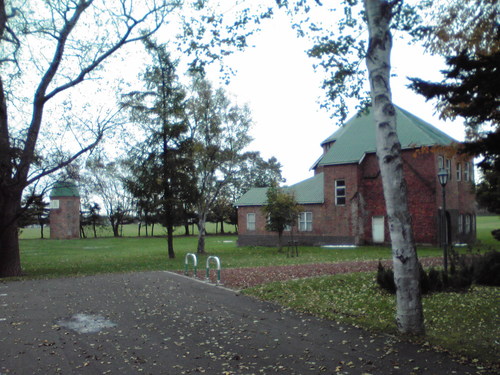 f0057955_2056760.jpg