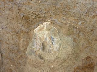 e0159557_2244484.jpg