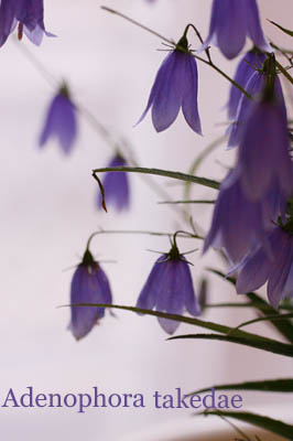 f0229759_0254193.jpg