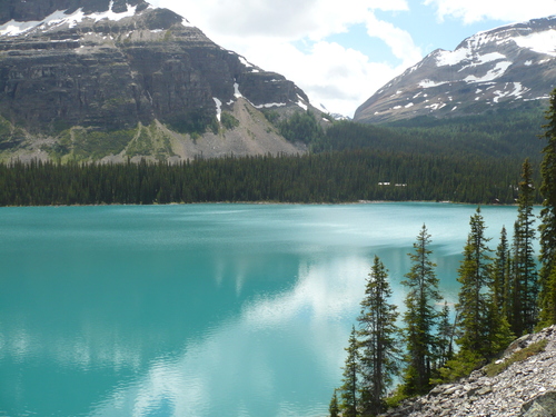 f0214562_61756.jpg