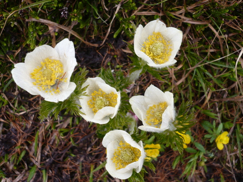 f0214562_6293613.jpg