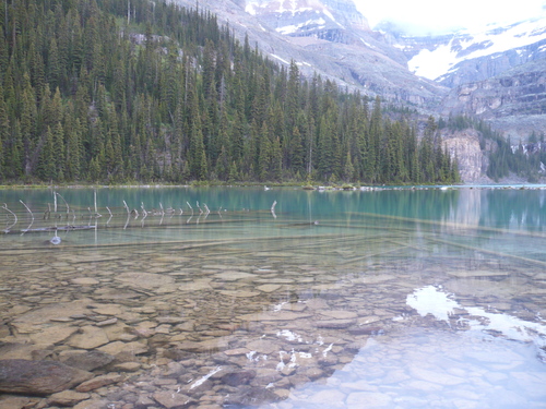 f0214562_6323241.jpg