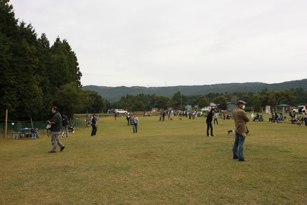b0069169_1233790.jpg