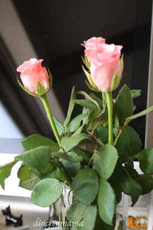 c0117570_15142736.jpg