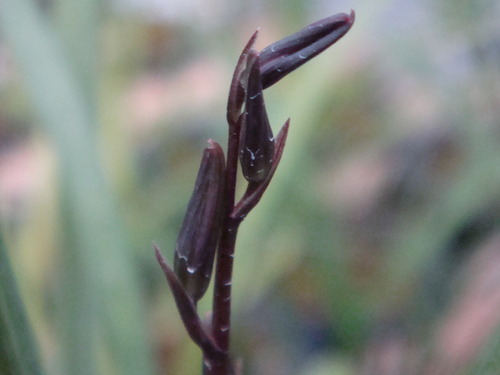 f0231573_21111125.jpg