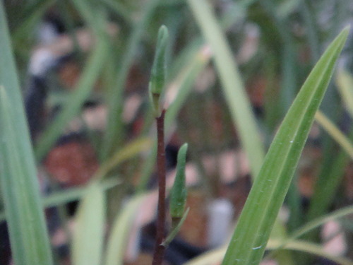 f0231573_2185417.jpg
