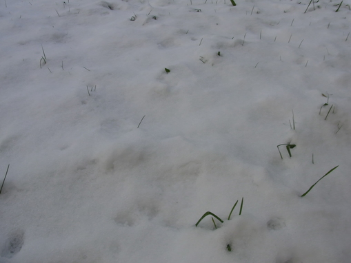 f0203580_010616.jpg