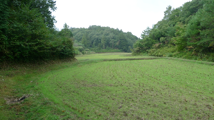 e0024081_13161491.jpg