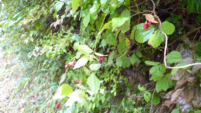 e0024081_13193165.jpg