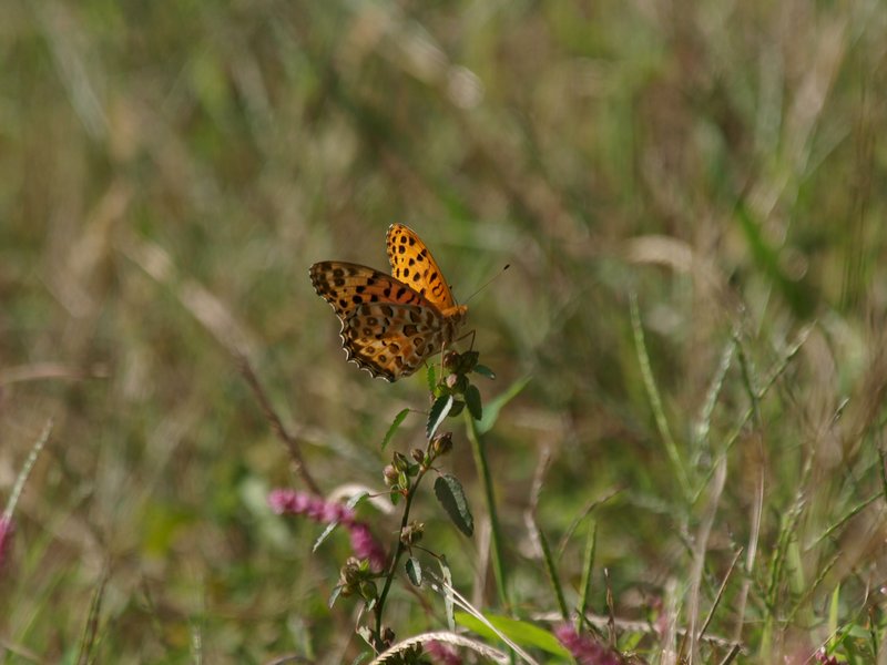 b0108186_2154936.jpg