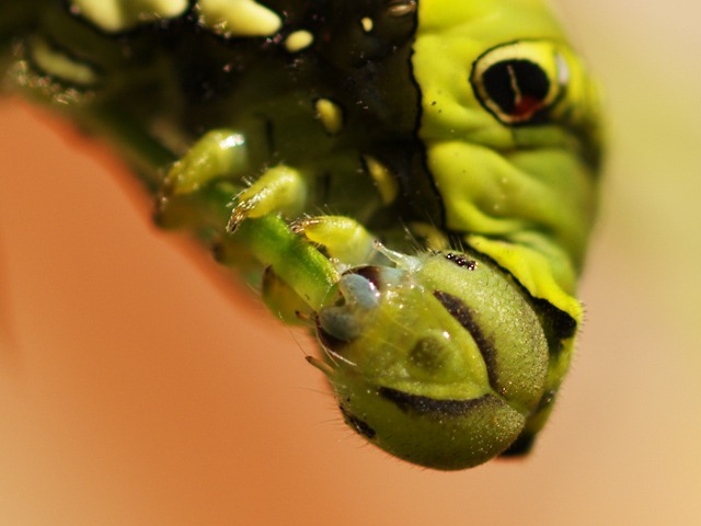 b0194593_0245037.jpg