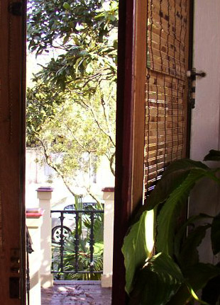 d0000995_11351796.jpg